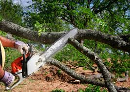 Best Lawn Watering Services  in Camp Barrett, VA